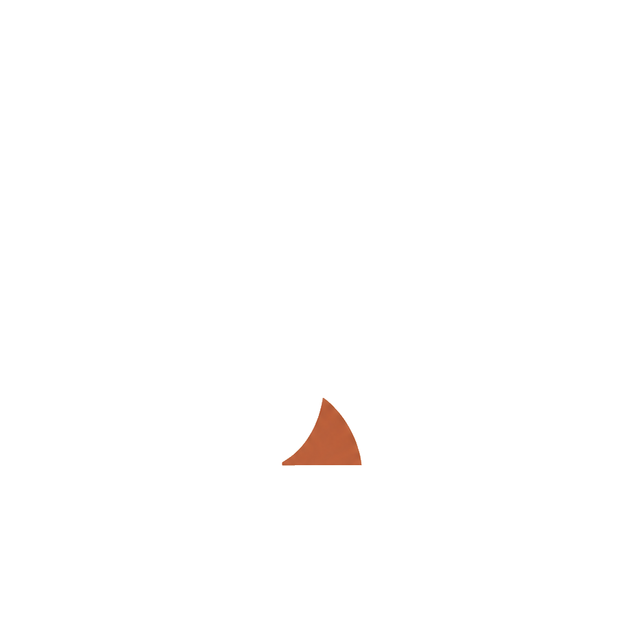 SD Web Studio